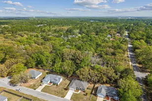 102 Liz Moody Blvd, Saint Marys, GA 31558 - Photo 43