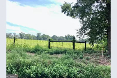 204 Nevils Groveland Road, Statesboro, GA 30458 - Photo 7