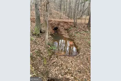 103 Acres Pobiddy Road, Thomaston, GA 30286 - Photo 13
