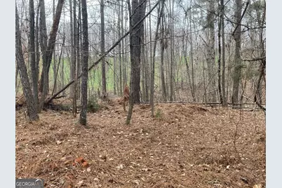 103 Acres Pobiddy Road, Thomaston, GA 30286 - Photo 19