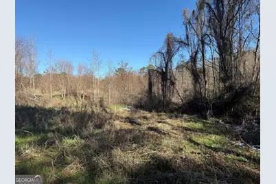 103 Acres Pobiddy Road, Thomaston, GA 30286 - Photo 11