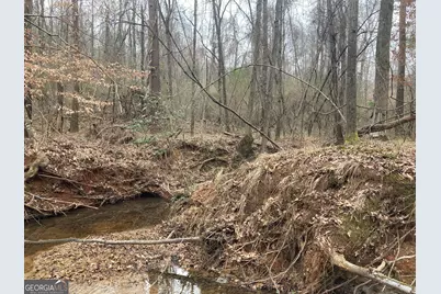 103 Acres Pobiddy Road, Thomaston, GA 30286 - Photo 17