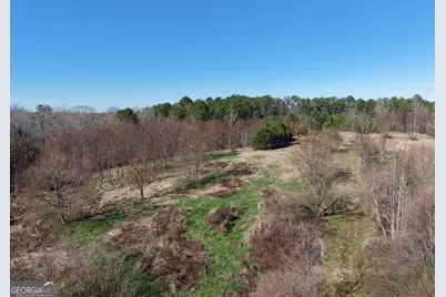 40 Acres Pobiddy Road, Thomaston, GA 30286 - Photo 9