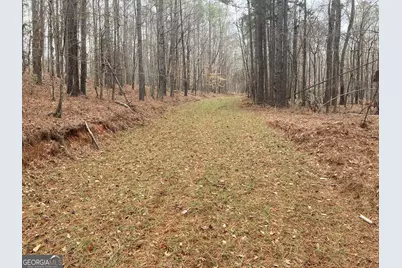 40 Acres Pobiddy Road, Thomaston, GA 30286 - Photo 17