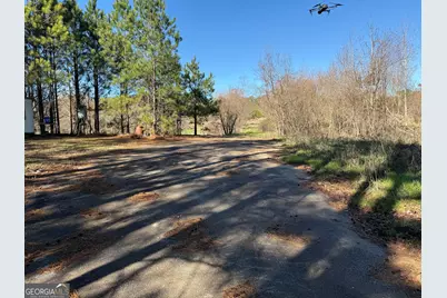 40 Acres Pobiddy Road, Thomaston, GA 30286 - Photo 5
