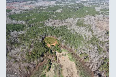40 Acres Pobiddy Road, Thomaston, GA 30286 - Photo 13