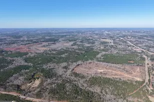 40 Acres Pobiddy Rd, Thomaston, GA 30286 - Photo 1