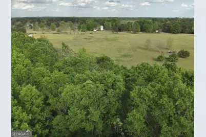 224 Scott Road, Elko, GA 31025 - Photo 3