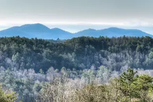 500 Evening Shade Walk, Mineral Bluff, GA 30559 - Photo 3