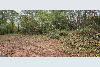 18 E Mourning Dove Ct, Monticello, GA 31064 - Photo 3