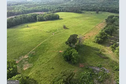 1540 Flint Hill Highway, Shiloh, GA 31826 - Photo 17