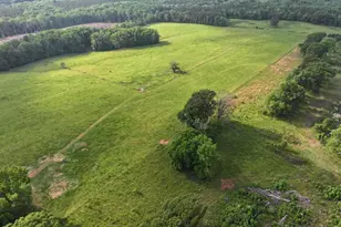 1540 Flint Hl Hwy, Shiloh, GA 31826 - Photo 17