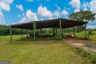 1540 Flint Hl Hwy, Shiloh, GA 31826 - Photo 7