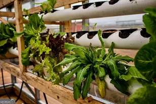 1540 Flint Hl Hwy, Shiloh, GA 31826 - Photo 13