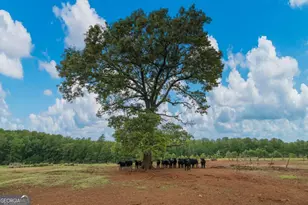 1540 Flint Hl Hwy, Shiloh, GA 31826 - Photo 67