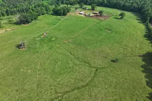 1540 Flint Hl Hwy, Shiloh, GA 31826 - Photo 19