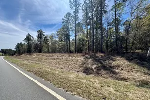 0 East Ga Hwy 86, Lyons, GA 30436 - Photo 1