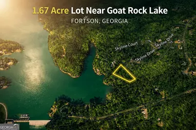 0 Skyline Drive, Fortson, GA 31808 - Photo 7