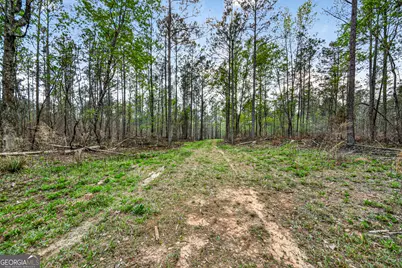 669 Pecan Grove Road, Washington, GA 30673 - Photo 33