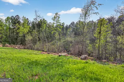 669 Pecan Grove Road, Washington, GA 30673 - Photo 49