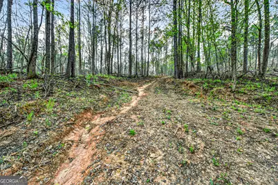 669 Pecan Grove Road, Washington, GA 30673 - Photo 31