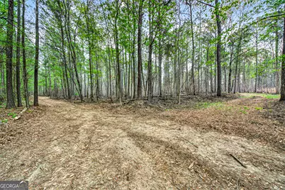 669 Pecan Grove Road, Washington, GA 30673 - Photo 35