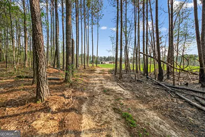 669 Pecan Grove Road, Washington, GA 30673 - Photo 39