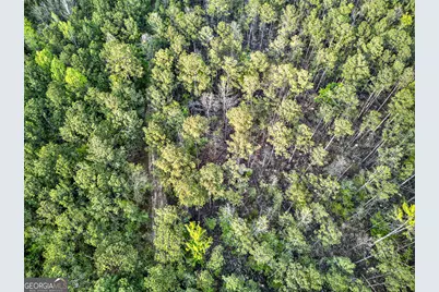 669 Pecan Grove Road, Washington, GA 30673 - Photo 13