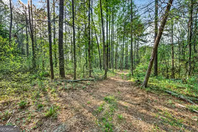 669 Pecan Grove Road, Washington, GA 30673 - Photo 41