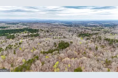 0 Felton Rockmart Road, Buchanan, GA 30113 - Photo 43