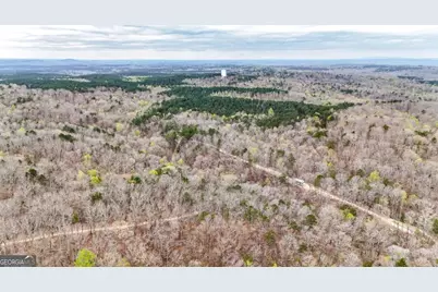 0 Felton Rockmart Road, Buchanan, GA 30113 - Photo 41