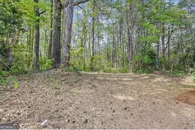 7823 Chase Woods Drive, Jonesboro, GA 30236 - Photo 31