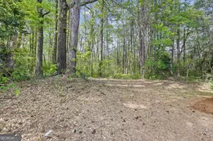 7823 Chase Woods Dr, Jonesboro, GA 30236 - Photo 33