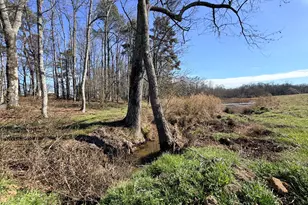 0 Adams Duncan Rd, Hull, GA 30646 - Photo 1