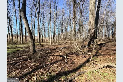 0 Adams Duncan Road #TRACT 2, Hull, GA 30646 - Photo 3