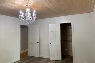 10170 Lavonia Rd, Carnesville, GA 30521 - Photo 31