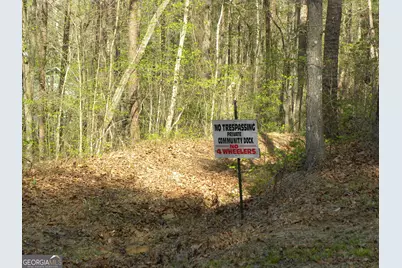 1323 Seven Forks Road, Martin, GA 30557 - Photo 15