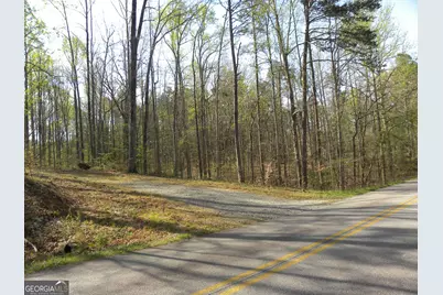 1323 Seven Forks Road, Martin, GA 30557 - Photo 3