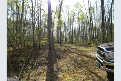 1323 Seven Forks Road, Martin, GA 30557 - Photo 7