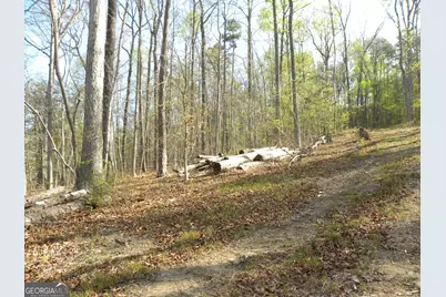 1323 Seven Forks Road, Martin, GA 30557 - Photo 15