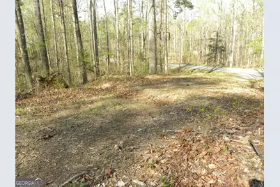 1323 Seven Forks Road, Martin, GA 30557 - Photo 17