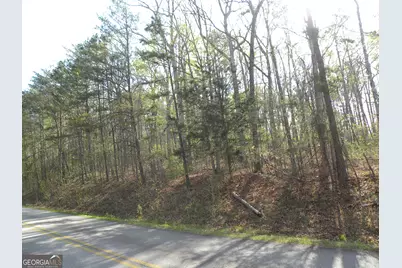 1323 Seven Forks Road, Martin, GA 30557 - Photo 1