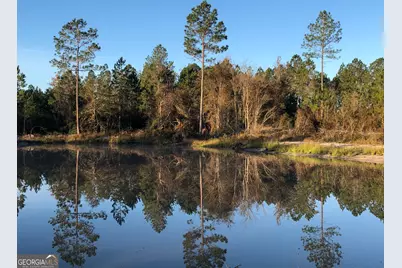 6064 S US Highway 301, Jesup, GA 31546 - Photo 3