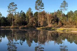 6064 S US Hwy 301, Jesup, GA 31546 - Photo 3