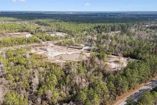 6064 S US Hwy 301, Jesup, GA 31546 - Photo 5