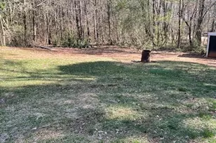 1088 River Rd, Warm Springs, GA 31830 - Photo 7