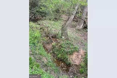 0 Gooseneck Road, Eastanollee, GA 30538 - Photo 7