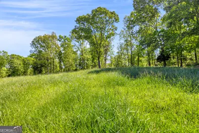 963 Gooseneck Road #LOT 2, Eastanollee, GA 30538 - Photo 5