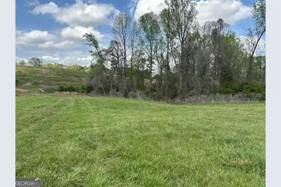 0 Gooseneck Road, Eastanollee, GA 30538 - Photo 5