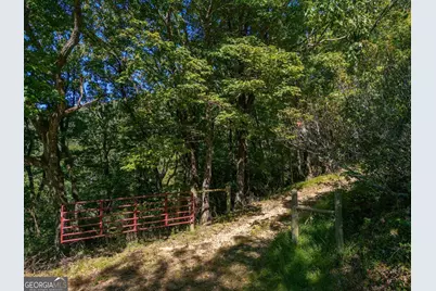0 Shadowick Mountain Road, Jasper, GA 30143 - Photo 11